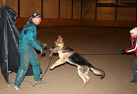 Training in Estonia 3/2007